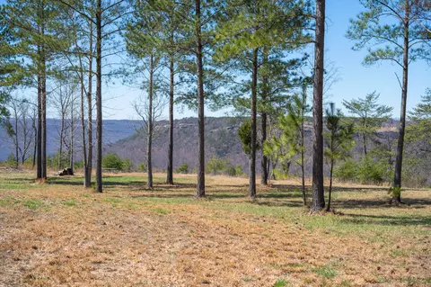 480 Pappy Rd, Jasper, TN 37347 photo 13