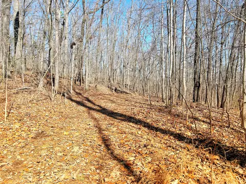 0 Browbend Dr #19, Guild, TN 37340