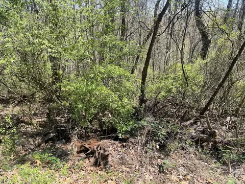 0 Georgia Ter, Rossville, GA 30741