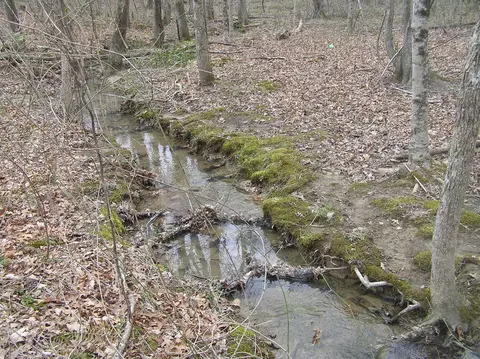99 Prater Rd #8, Pikeville, TN 37367
