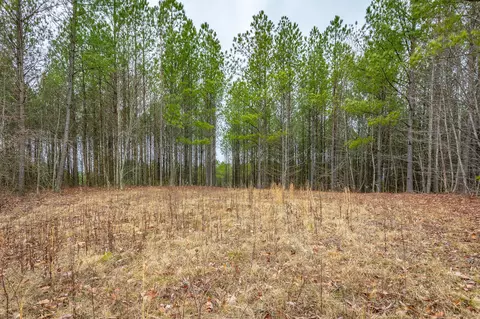 0 Split Rail Way #LOT 1354, Guild, TN 37340 photo 14