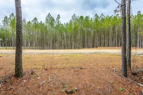 0 Split Rail Way #LOT 1354, Guild, TN 37340 photo 25