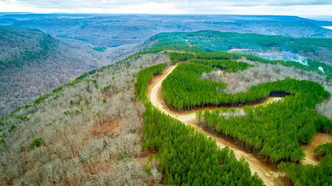 0 Split Rail Way #LOT 1354, Guild, TN 37340 photo 40