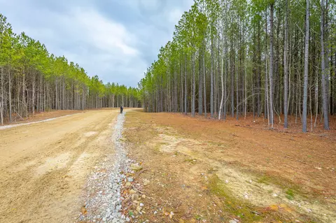 0 Split Rail Way #LOT 1354, Guild, TN 37340 photo 22