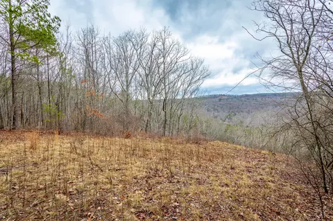 0 Split Rail Way #LOT 1354, Guild, TN 37340 photo 2