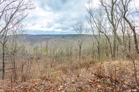 0 Split Rail Way #LOT 1354, Guild, TN 37340 photo 5