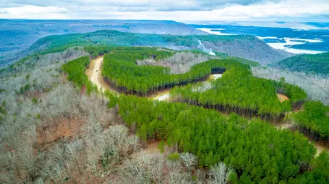 0 Split Rail Way #LOT 1354, Guild, TN 37340 photo 54
