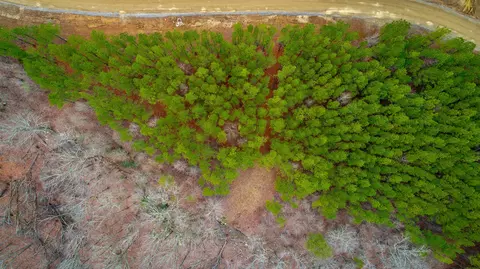 0 Split Rail Way #LOT 1354, Guild, TN 37340 photo 36