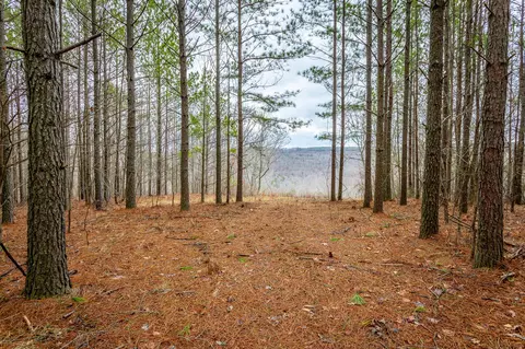0 Split Rail Way #LOT 1354, Guild, TN 37340 photo 11