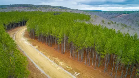 0 Split Rail Way #LOT 1354, Guild, TN 37340 photo 62