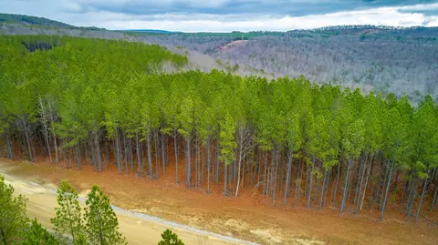 0 Split Rail Way #LOT 1354, Guild, TN 37340 photo 64