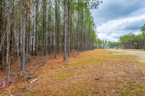 0 Split Rail Way #LOT 1354, Guild, TN 37340 photo 16