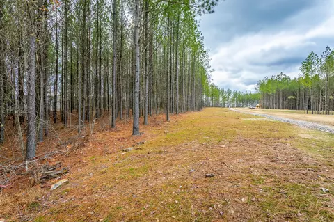 0 Split Rail Way #LOT 1354, Guild, TN 37340 photo 18