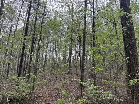 193 Highway Rd, Lafayette, GA 30728