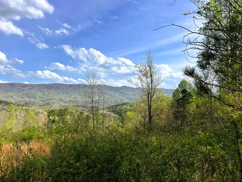 250 County Road 476, Englewood, TN 37329