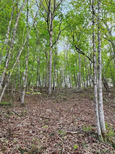 4622 Parker Loop Rd, Birchwood, TN 37308
