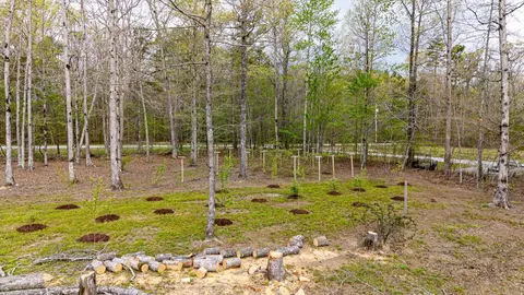 155 Mossy Oak Dr, Sequatchie, TN 37374 photo 38