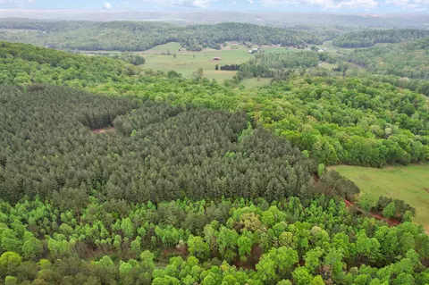 190 Sims Rd, Decatur, TN 37322