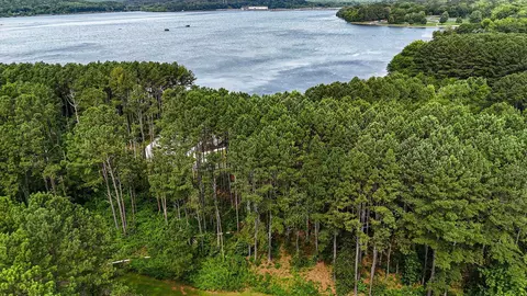 0 Castaway Lot 84 Ln, Jasper, TN 37347