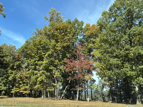 460 Volunteer St #JF-362, Jasper, TN 37347