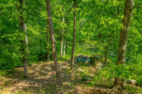 View/Area - 145 River Bend Dr, Ocoee, TN 37361 photo 1 of 11