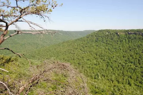 0 E Of Pocket Crk E, Whitwell, TN 37397