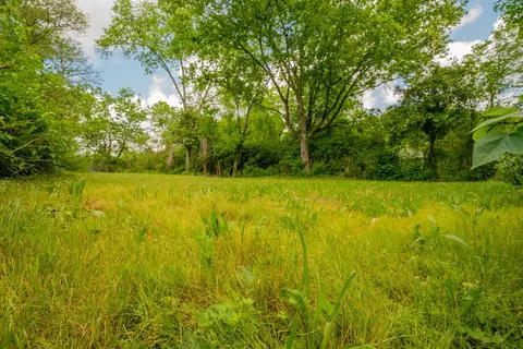1811 Taylor St, Chattanooga, TN 37406