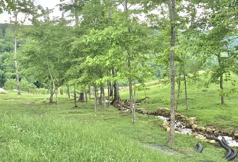 6070 Raulston Falls Rd #LOT 97, Jasper, TN 37347
