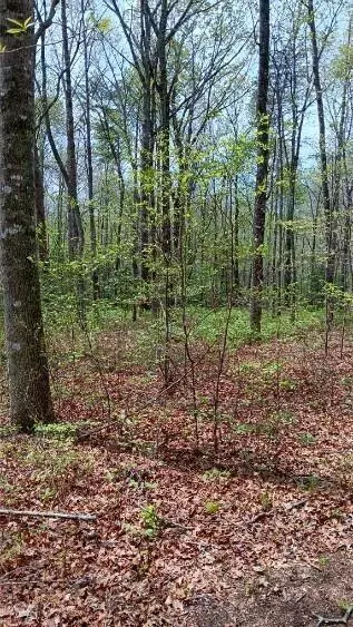 11901 Highway 150, Sequatchie, TN 37374 photo 9