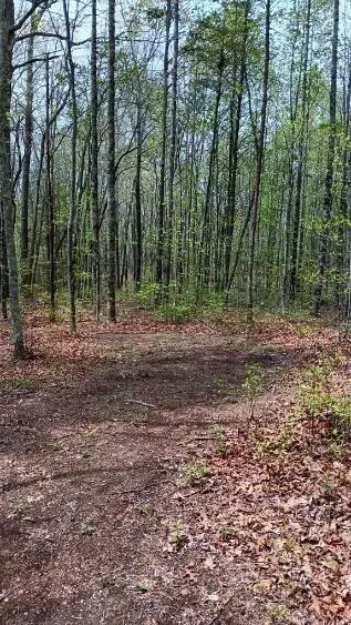 11901 Highway 150, Sequatchie, TN 37374 photo 10