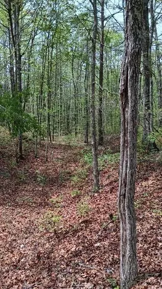 11901 Highway 150, Sequatchie, TN 37374 photo 11