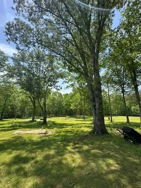 11901 Highway 150, Sequatchie, TN 37374 photo 3