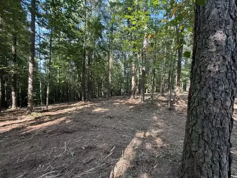 3715 Split Rail Way #1123, Guild, TN 37340 photo 8