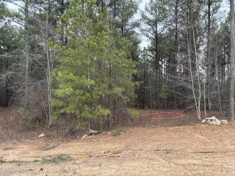 3715 Split Rail Way #1123, Guild, TN 37340 photo 32