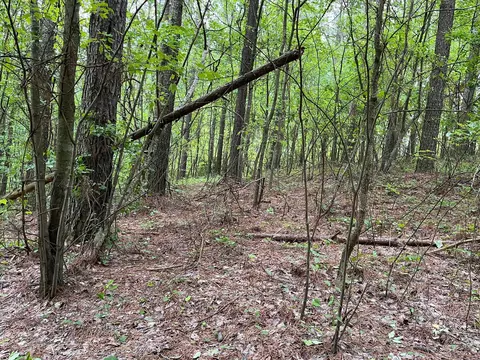 3715 Split Rail Way #1123, Guild, TN 37340 photo 32