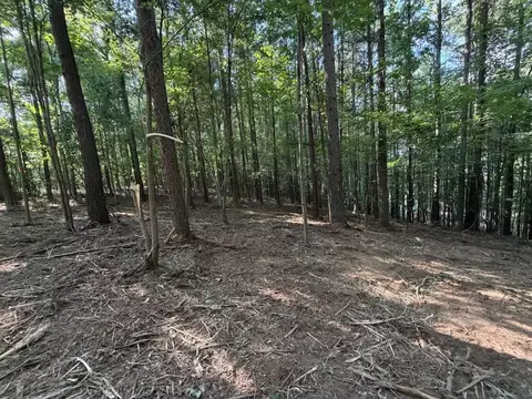 3715 Split Rail Way #1123, Guild, TN 37340 photo 11