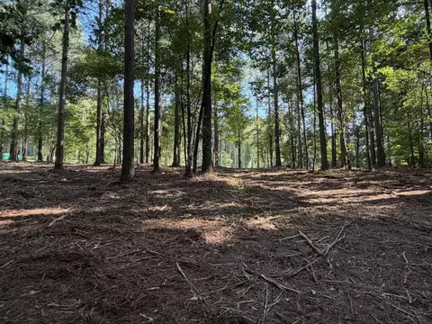 3715 Split Rail Way #1123, Guild, TN 37340 photo 13