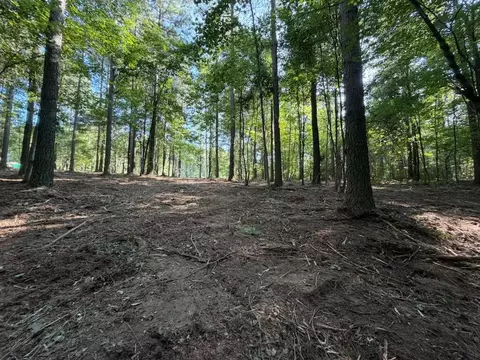 3715 Split Rail Way #1123, Guild, TN 37340 photo 14