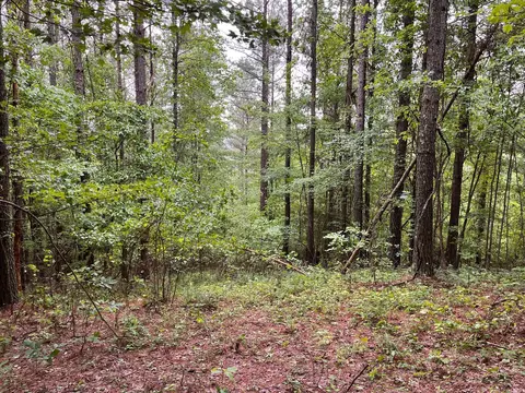 3715 Split Rail Way #1123, Guild, TN 37340
