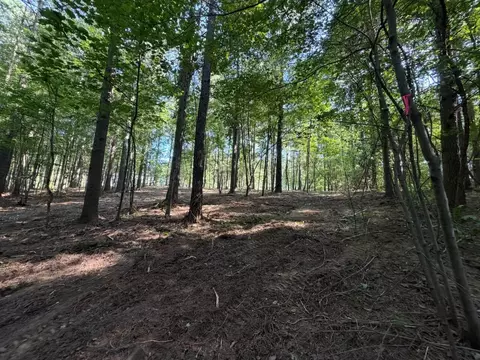 3715 Split Rail Way #1123, Guild, TN 37340 photo 15