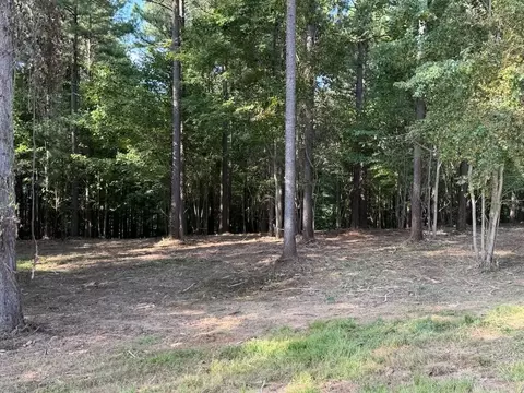 3715 Split Rail Way #1123, Guild, TN 37340 photo 3