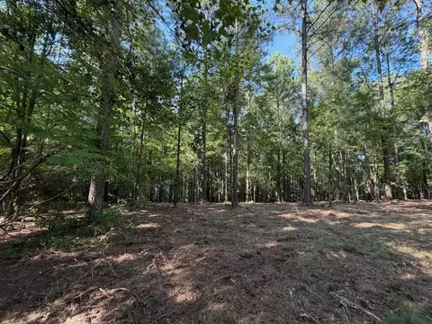 3715 Split Rail Way #1123, Guild, TN 37340 photo 5