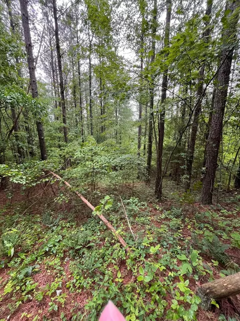 3715 Split Rail Way #1123, Guild, TN 37340 photo 34