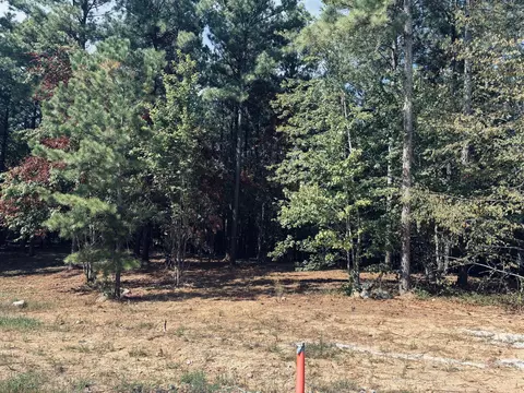 3715 Split Rail Way #1123, Guild, TN 37340 photo 46