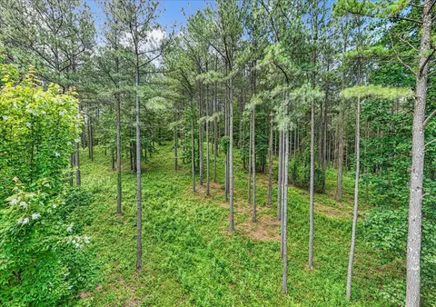3715 Split Rail Way #1123, Guild, TN 37340 photo 11