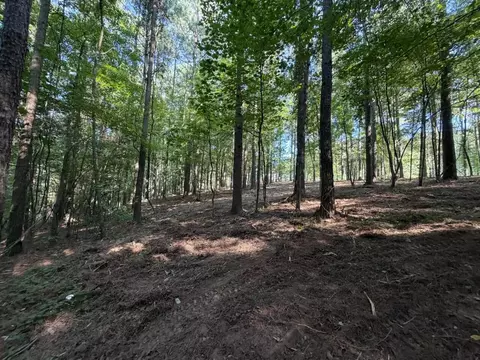 3715 Split Rail Way #1123, Guild, TN 37340 photo 16