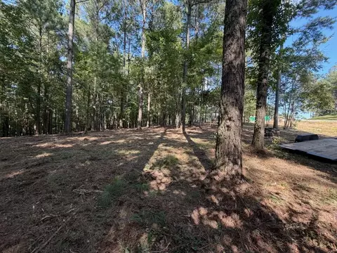 3715 Split Rail Way #1123, Guild, TN 37340 photo 4