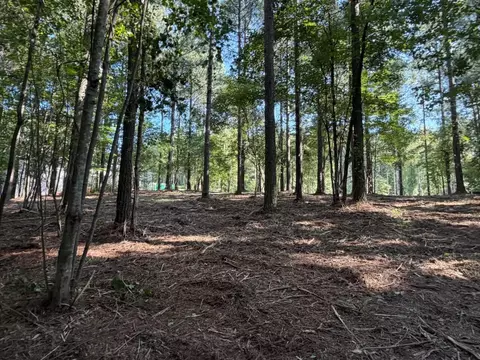 3715 Split Rail Way #1123, Guild, TN 37340 photo 12