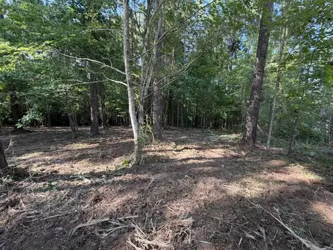 3715 Split Rail Way #1123, Guild, TN 37340 photo 17