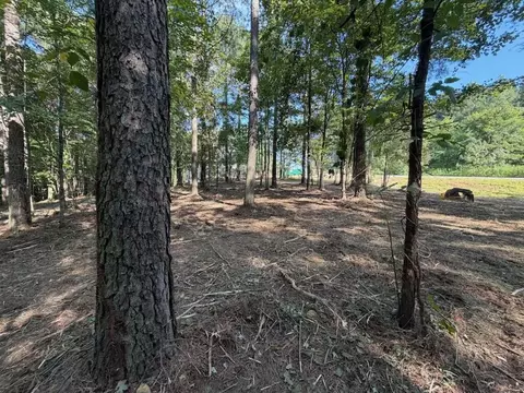 3715 Split Rail Way #1123, Guild, TN 37340 photo 9